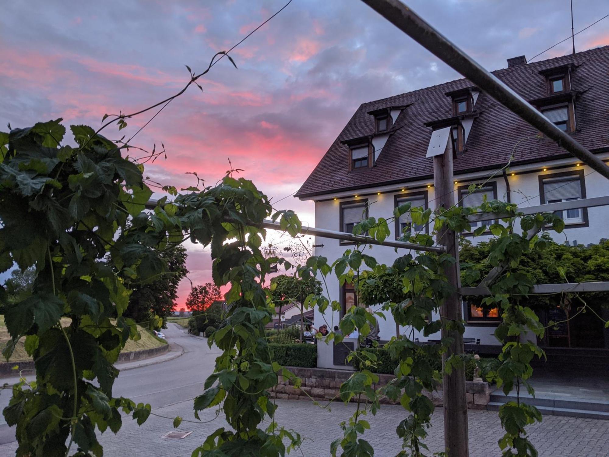 Brauereigasthof Adler Oberstadion エクステリア 写真